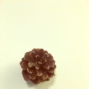 Meet your Posher, Me